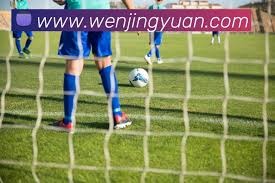 英超与法甲的差异对巴黎欧冠夺冠的影响